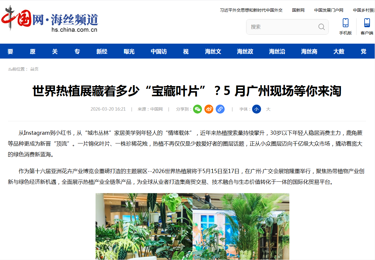 中國網.png